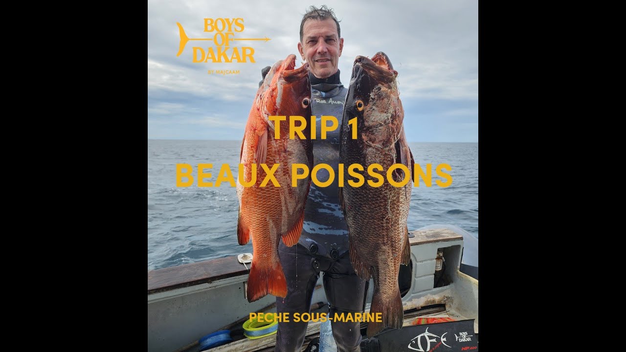 🥈PECHE SOUS MARINE - TRIP 1 BEAUX POISSONS - MAJCAAM - BOYS OF DAKAR - Ep.293