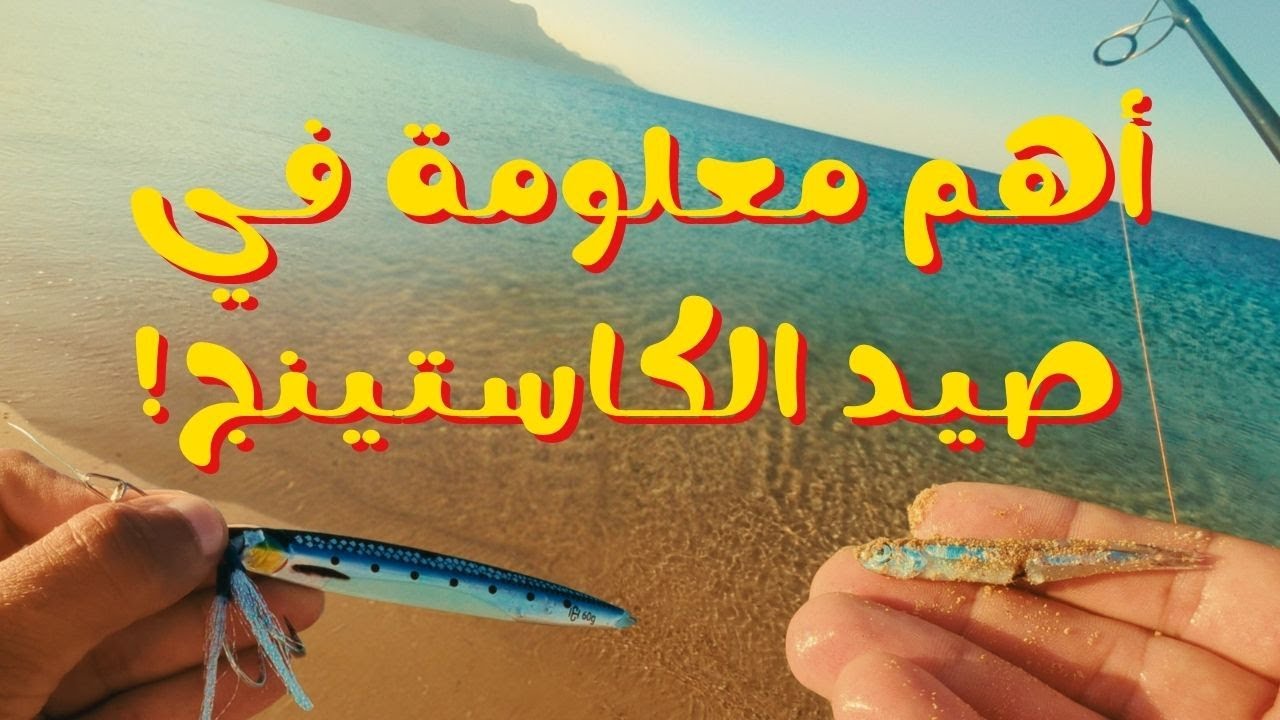 أفضل معلومة عن صيد الكاستينج  من الشاطئ - Shore Jigging for Bonito