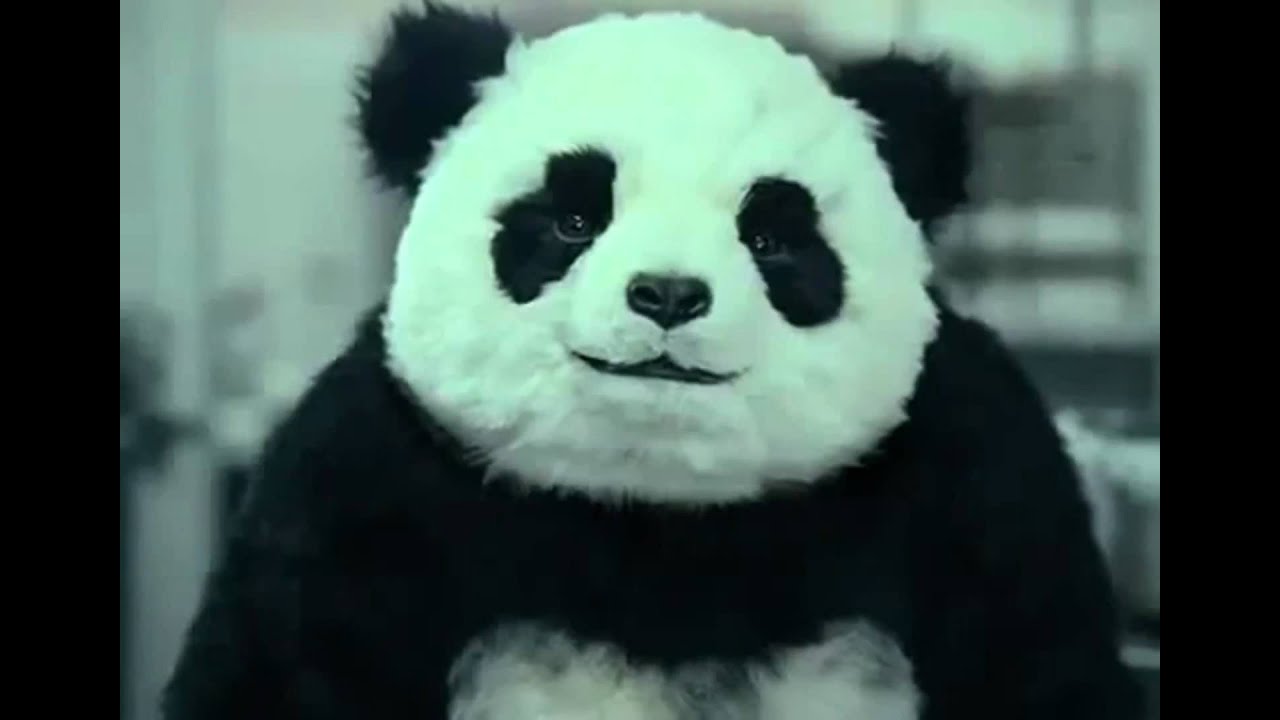 Panda Cheese Commercials (All 5)
