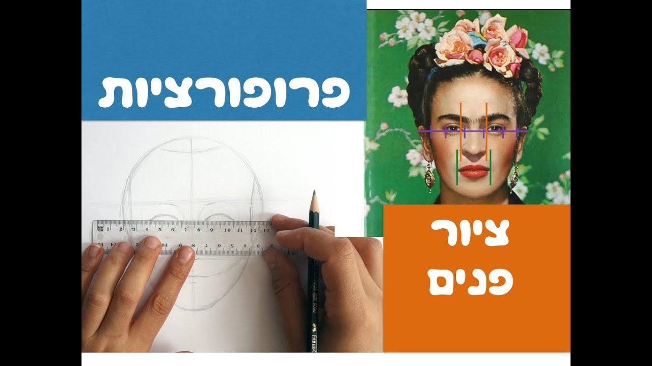 פרופורציות בציור דיוקן