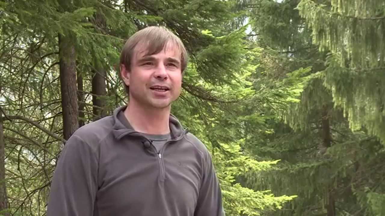 Potential Privatwald - Binding Waldpreis 2014 - Waldpflegegenossenschaft Schwändeliflue