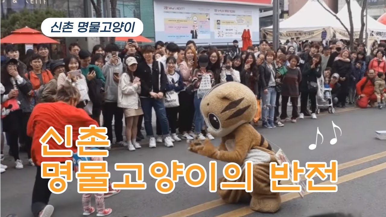 신촌 명물 고양이의 반전[기억 나누기]