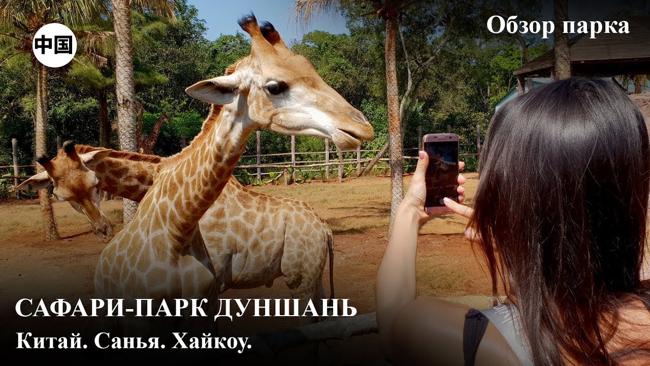 Сафари-парк Дуншань. Китай, Хайнань, Хайкоу.