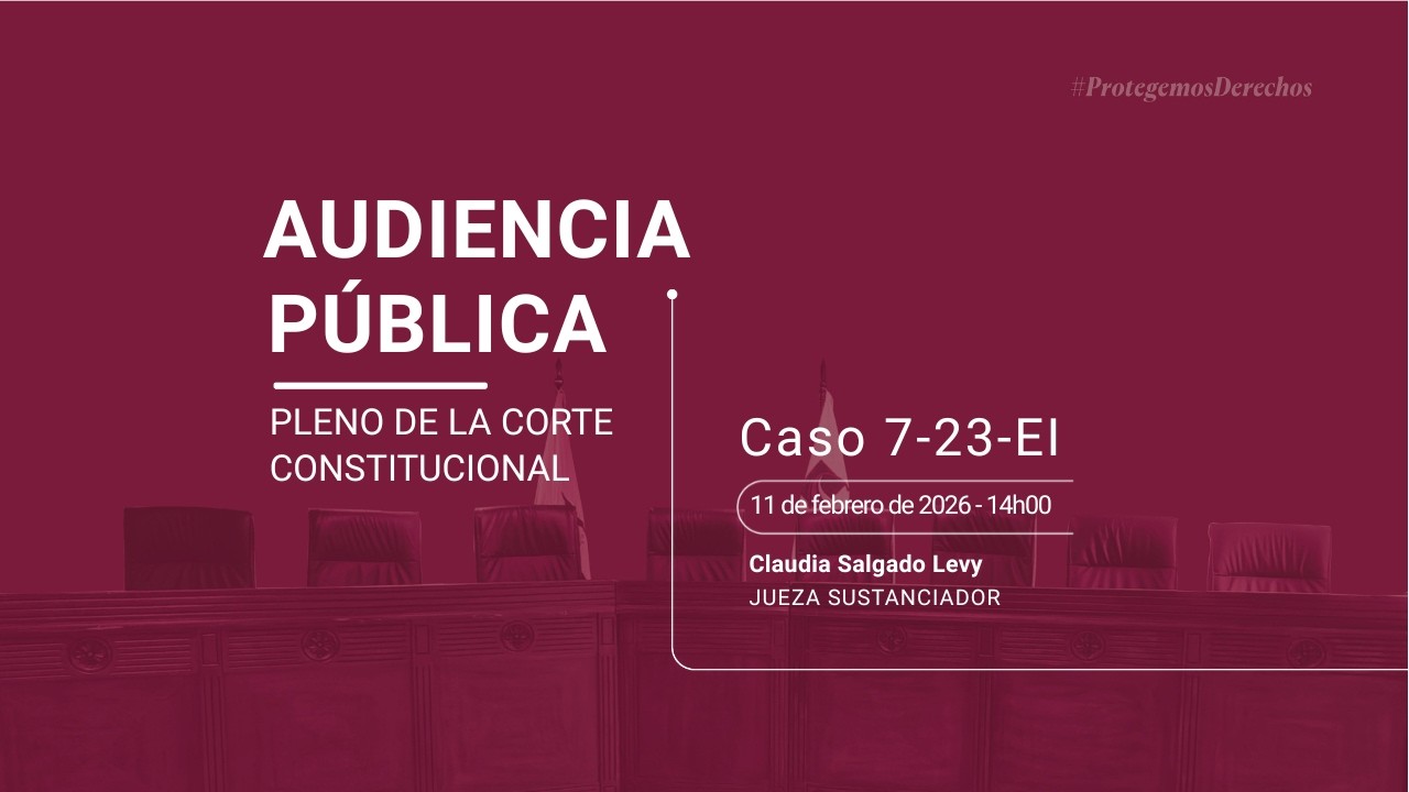 Audiencia Pública Caso No. 7-23-EI