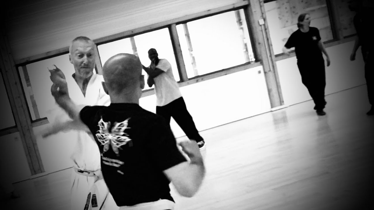 Wing Chun et Karaté, la main vide