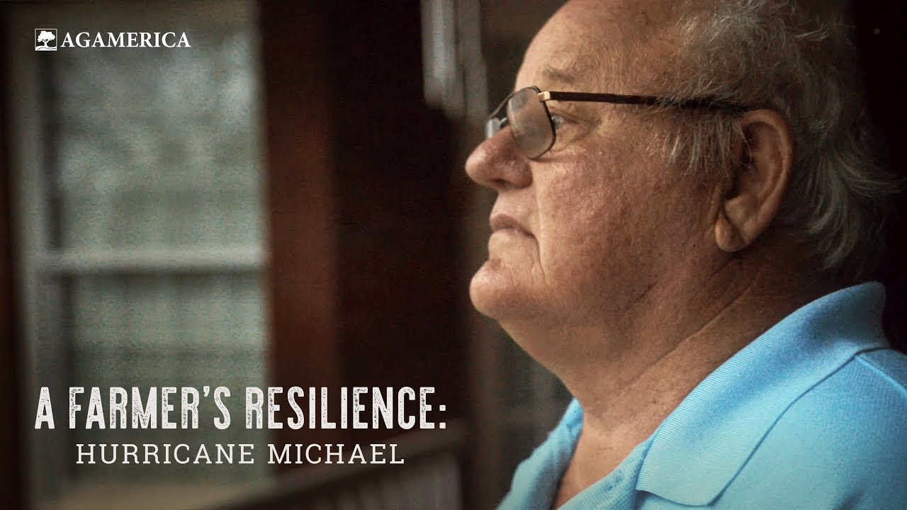 A Farmer's Resilience: Hurricane Michael | AgAmerica