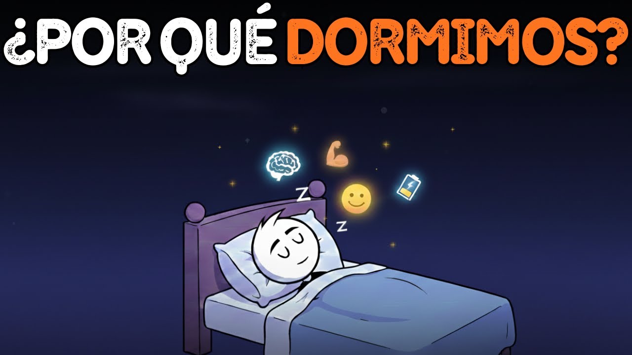 ¿Por Qué DORMIMOS Realmente?