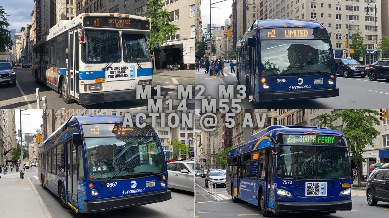 MTA NYCT: M1, M2, M3, M14A/D SBS & M55 Bus Action @ 5th Avenue & W 14th Street