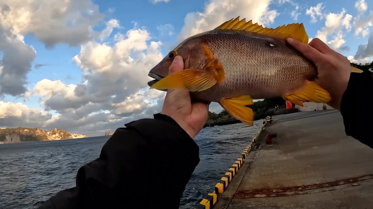 【式根島】超高級魚降臨ッ！そこら辺の一般アングラーが離島に行くとこうなる..（笑）。【離島遠征Part1】