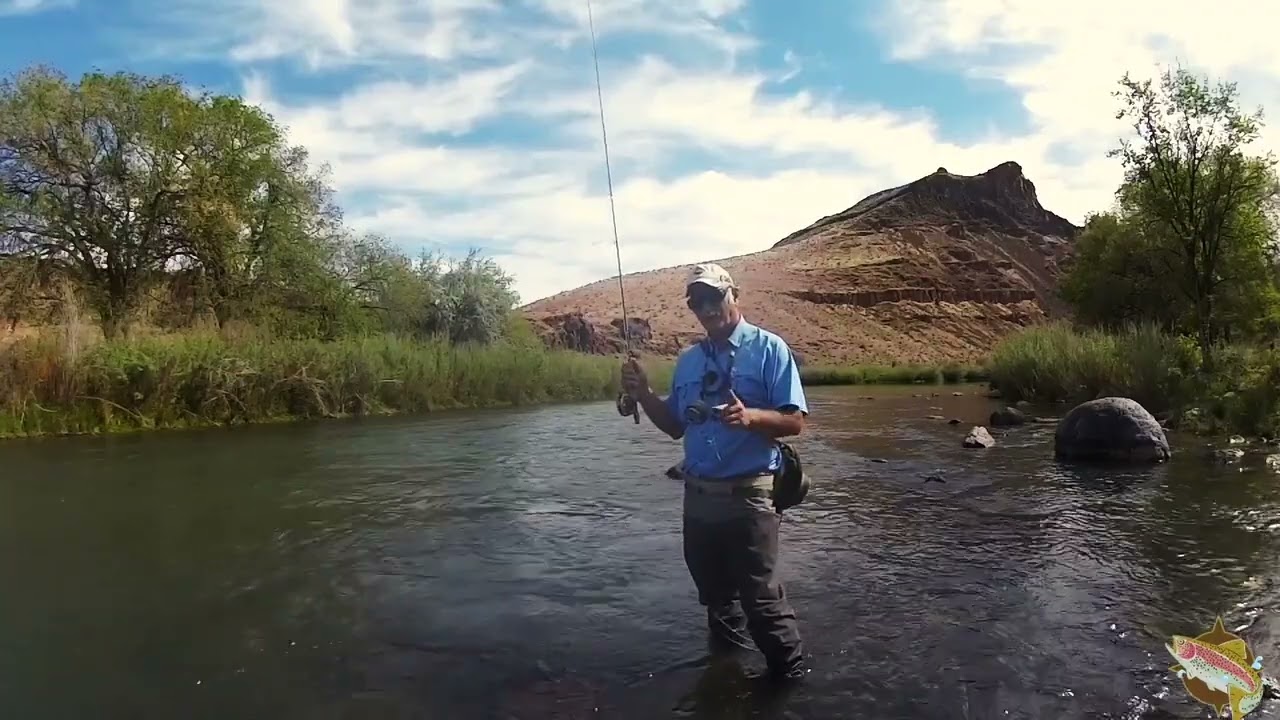 Perfecting Drop Shot Nymphing Vol 2