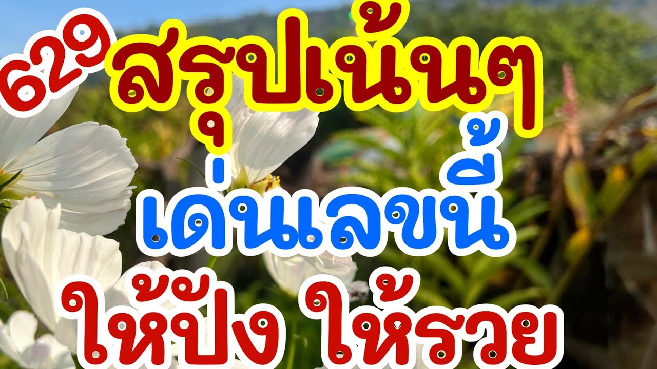 สรุปเน้นๆ เด่นเลขนี้ ให้ปัง ให้รวย 16 ก.พ. 69 [EP.8]