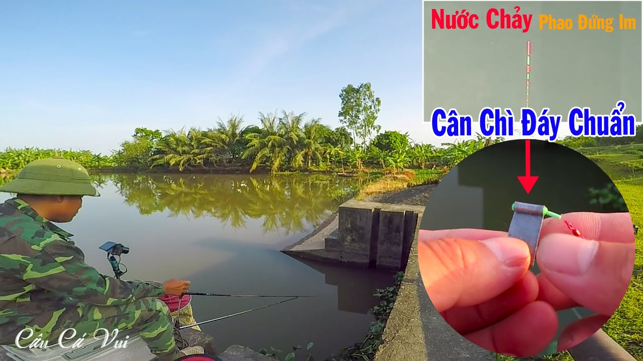 Hướng Dẫn Cân Phao Chì Chạm Đáy Trong Câu Đài Chi Tiết, Trực Quan Và Chuẩn Nhất ➣ Kỹ Thuật Câu Đài