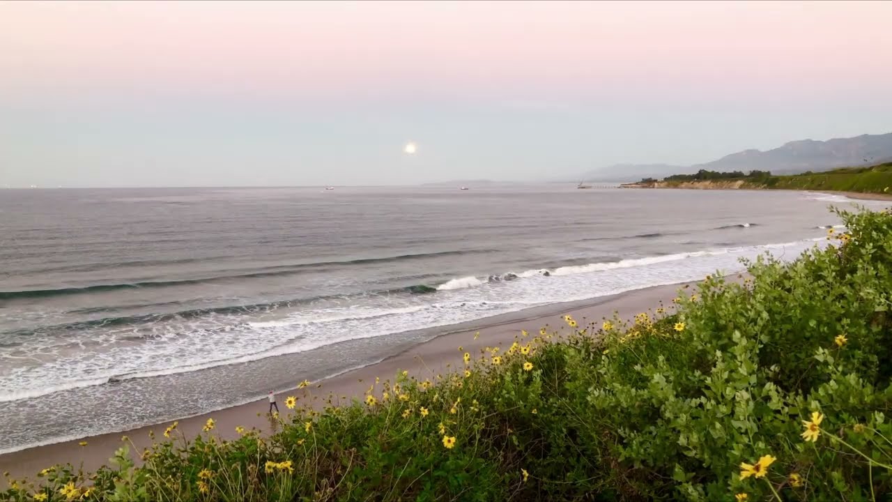 4 Hours of Ocean Waves | Rincon Beach, California | Morning Coastal Ambience with Seabirds