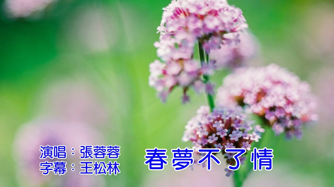 春夢不了情 張蓉蓉