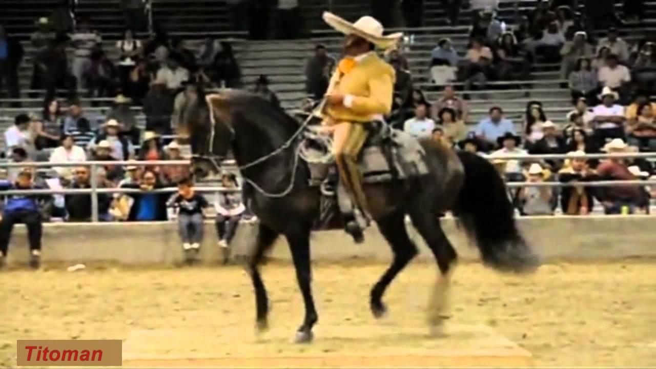Corridos De Caballos - Antonio Aguilar