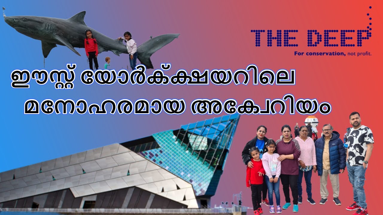 One of the best Aquariums in the world - The Deep, Hull City - Malayalam