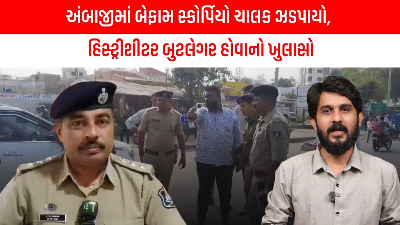 અંબાજીમાં બેફામ સ્કોર્પિયો ચાલક ઝડપાયો, હિસ્ટ્રીશીટર બુટલેગર હોવાનો ખુલાસો | Gujarati News