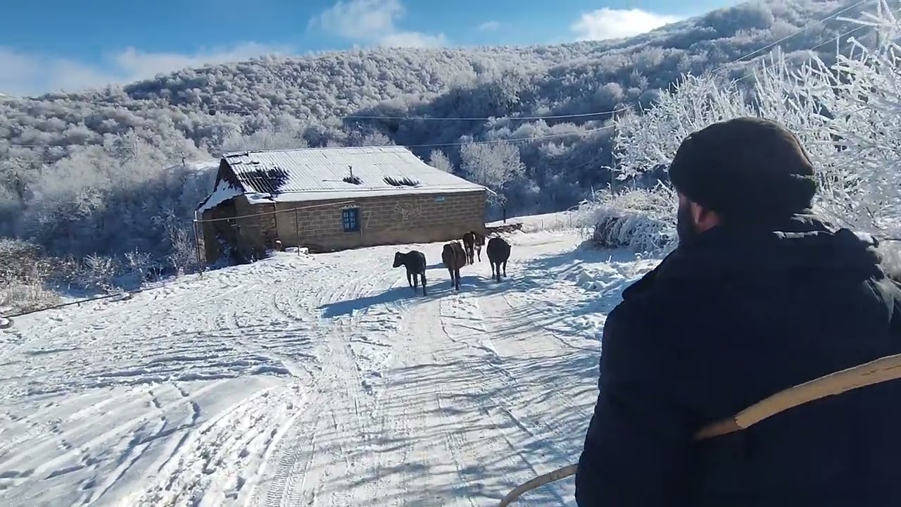 Табасаран, жизнь как она есть.