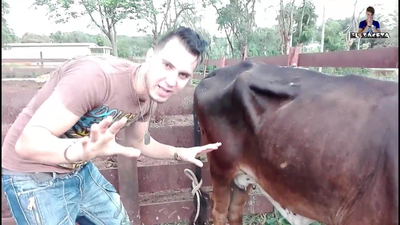 Vida COTIDIANA en CAMPOS de CUBA. COMO SE VIVE en ARTEMISA CUBA. Vida Cotidianda de un CUBANO.