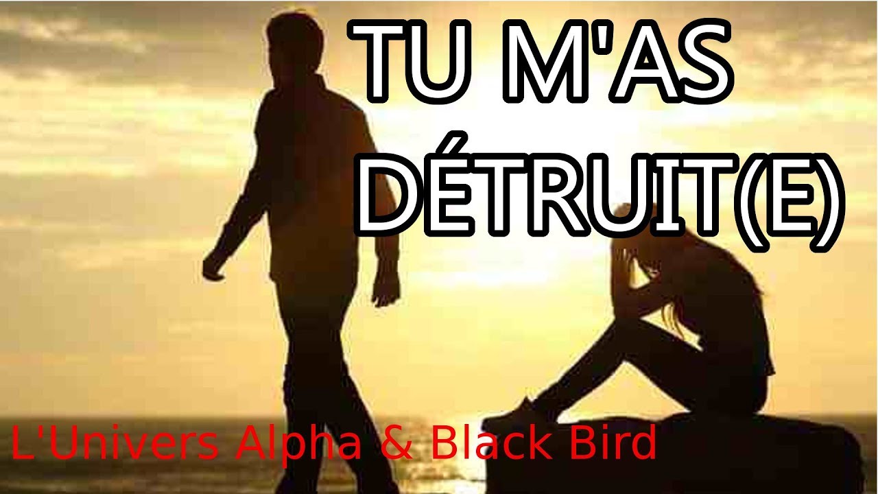 TEXTE 133 - TU M'AS DÉTRUIT(E) (ft Black Bird) | Texte oral