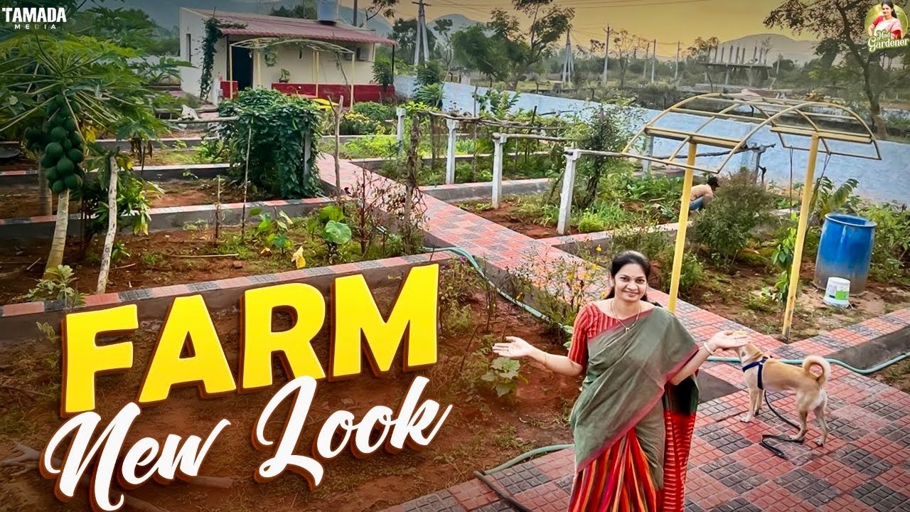 Farm Design /ఆయనకు ఇష్టం నాకు కొంచెం కష్టం/సందేహాలు తీర్చుతూ విశ్లేషిస్తాను @MADGARDENER