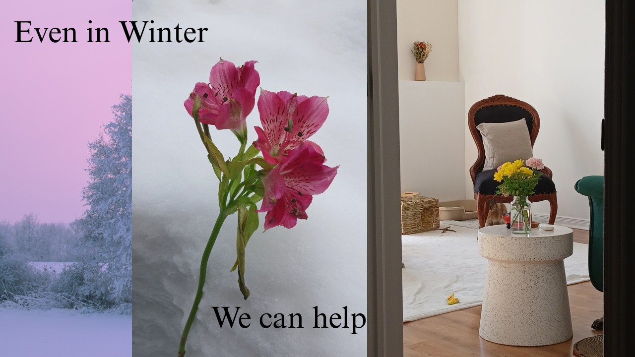 Craving Spring? Small things to help wildlife in winter while we wait