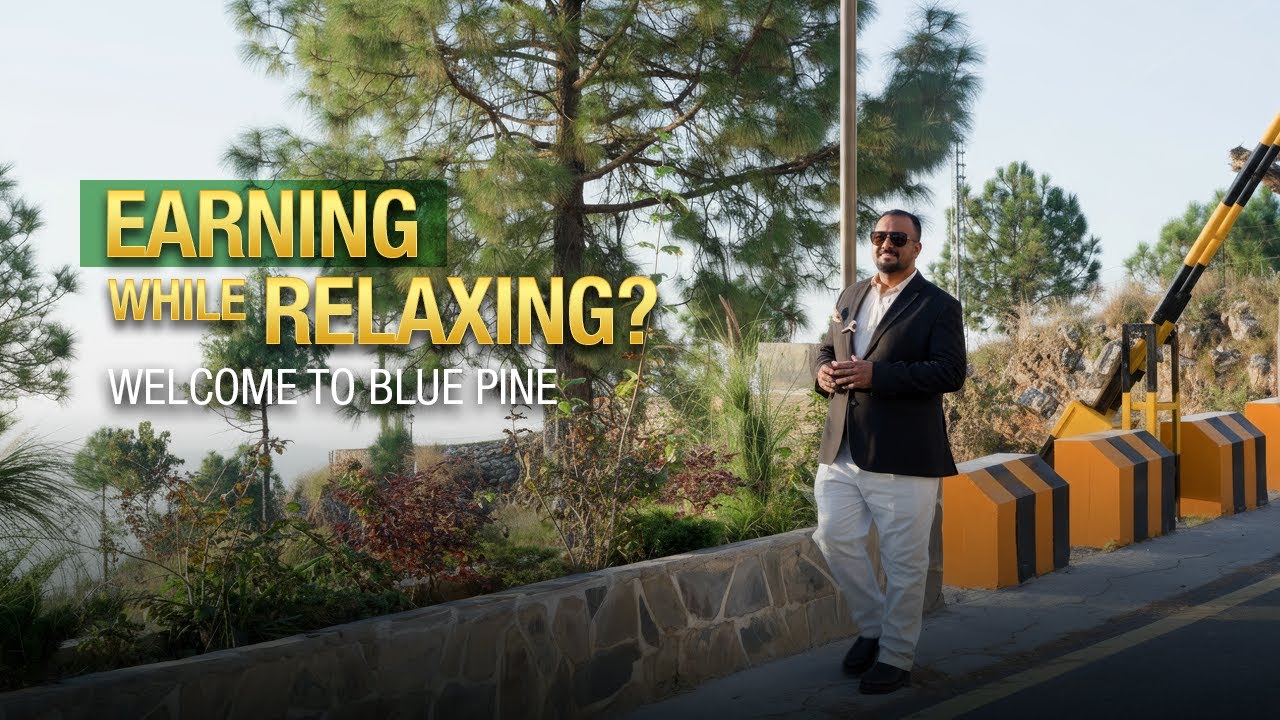 Is Blue Pine Really The Game Changer In Mountain Living?