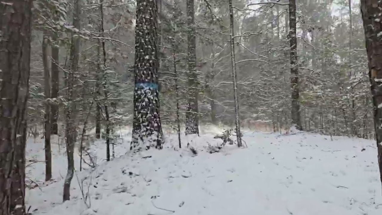 Winter Wonderland 2026 @CedarBridge62. Join us as we check out our slice of heaven.
