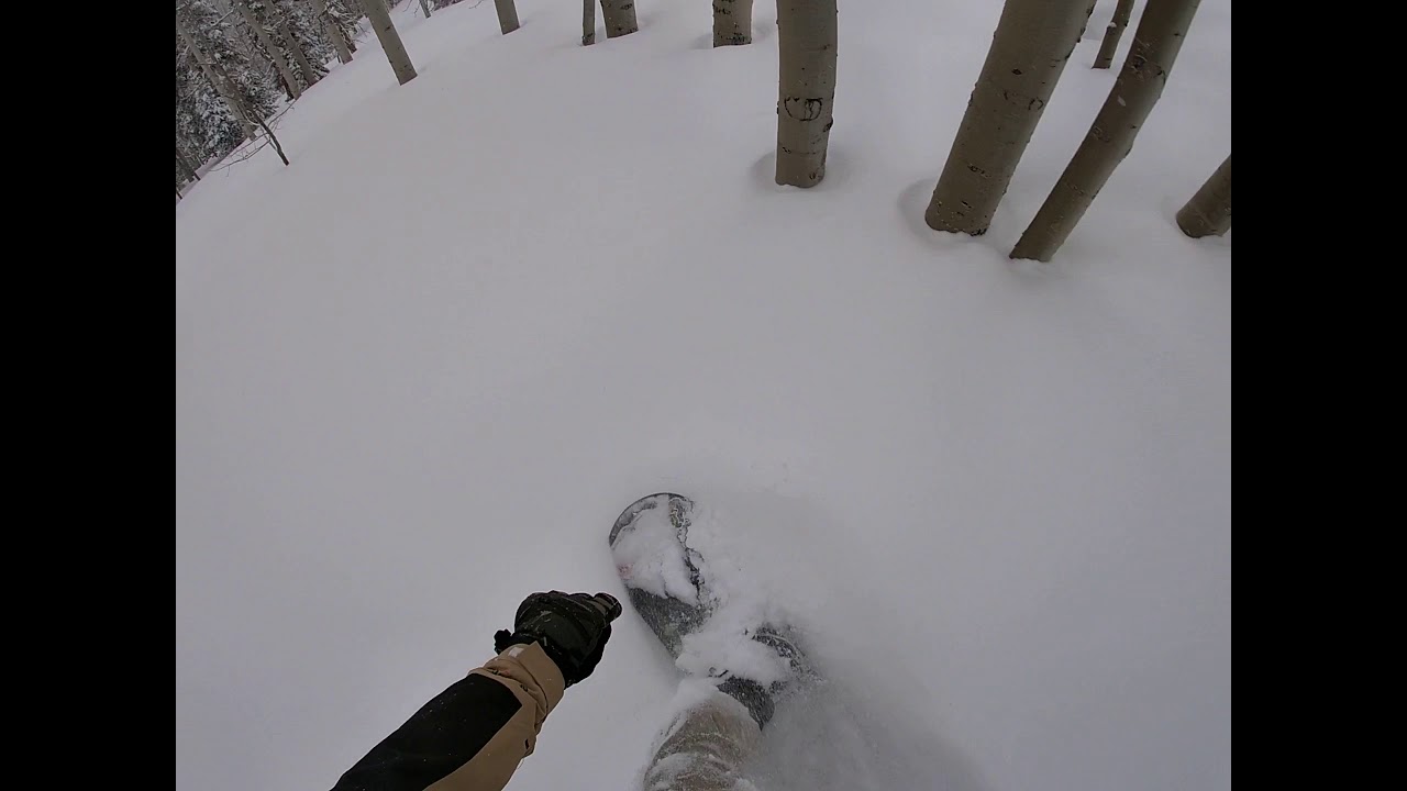 Brighton Great Western powder tree run #1