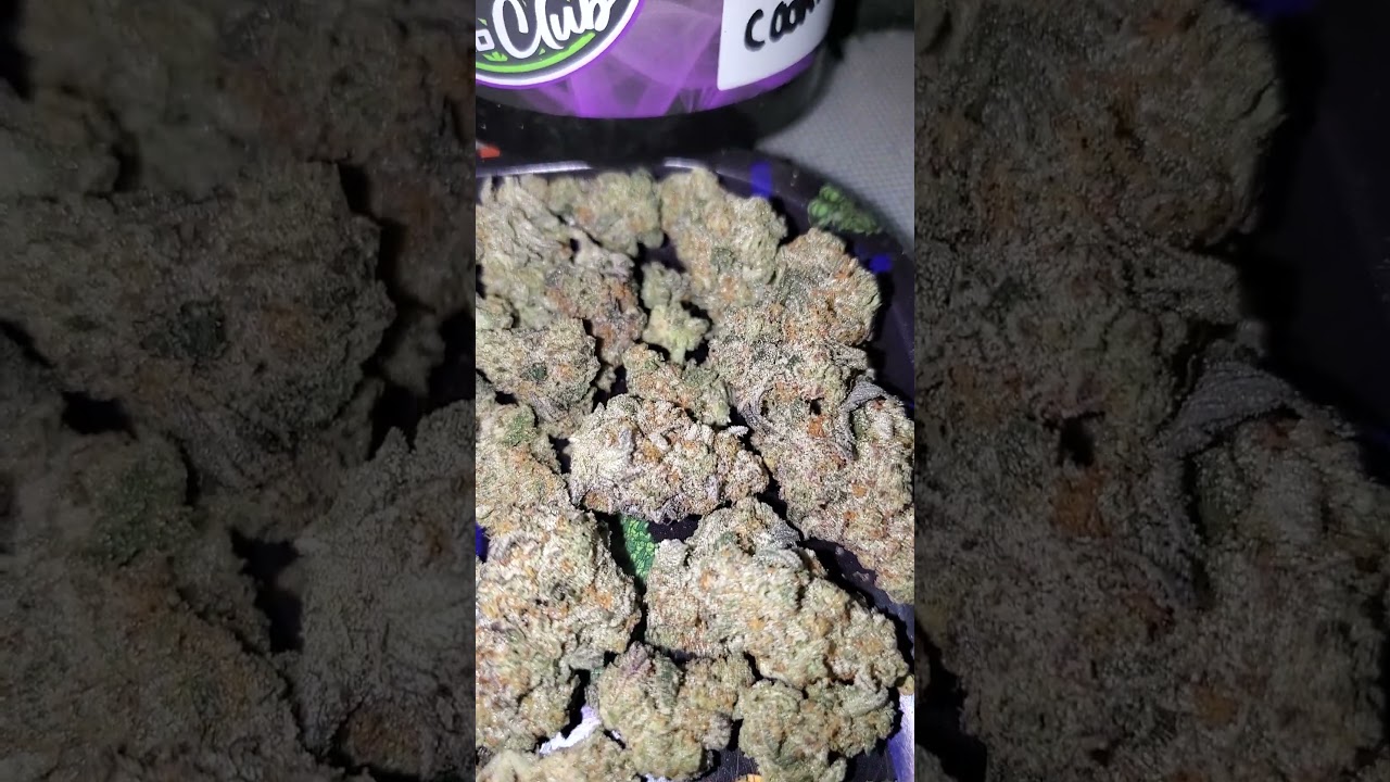 Cookie Wreck 🍪
