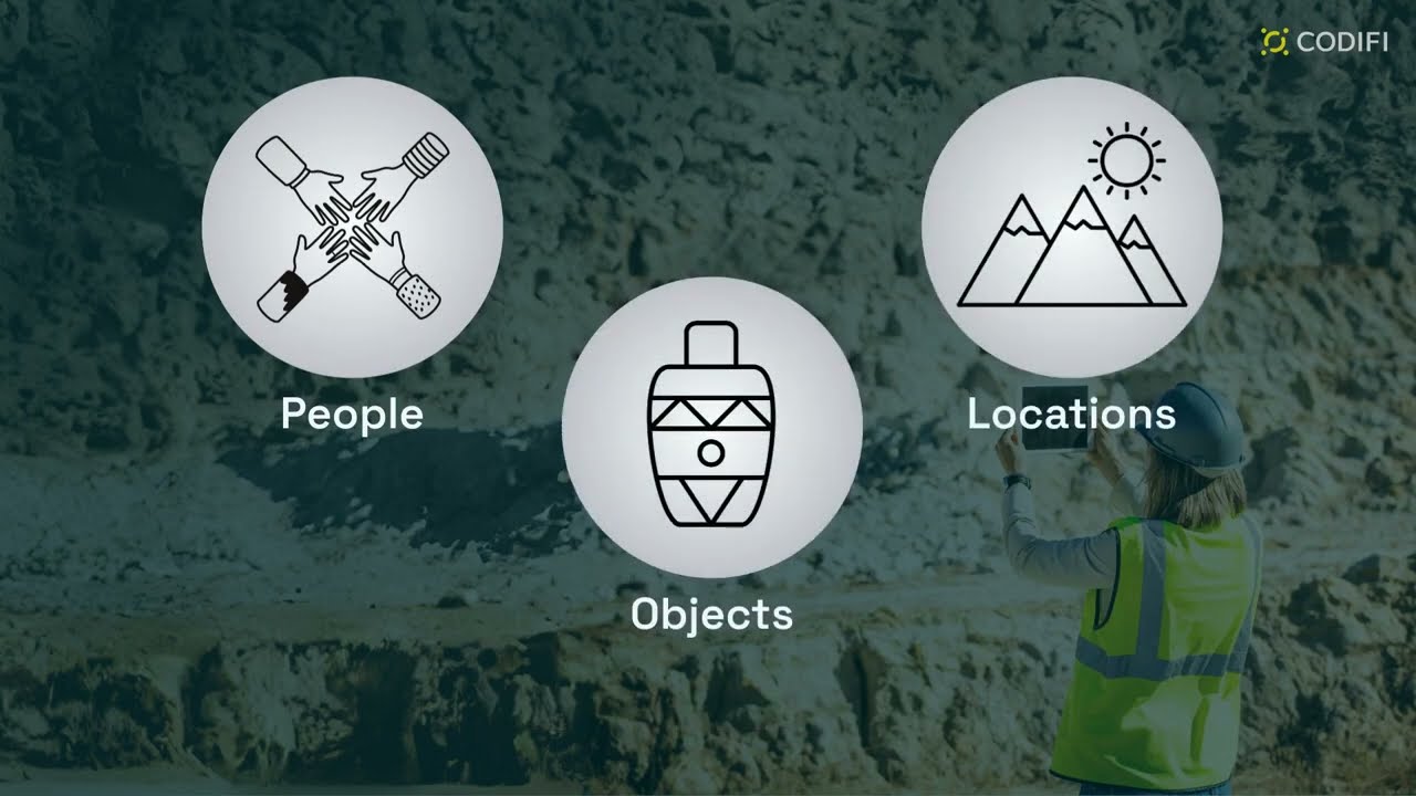 What does the Work of a Field Data Collector consist of?
