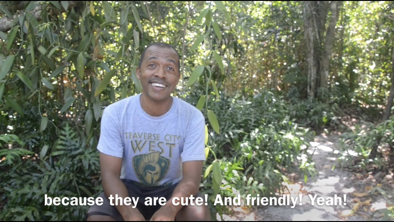 World Lemur Day 2021 in Sainte Luce: a lemur-themed football match?!