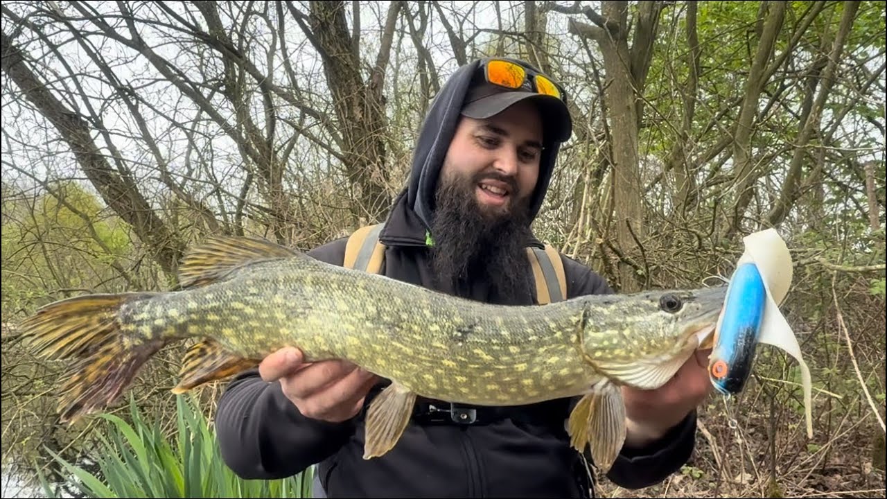 Pescuit la știucă pe lac sălbatic 🎯 WinTail & FabbyTail în acțiune💥💥 #pikefishing