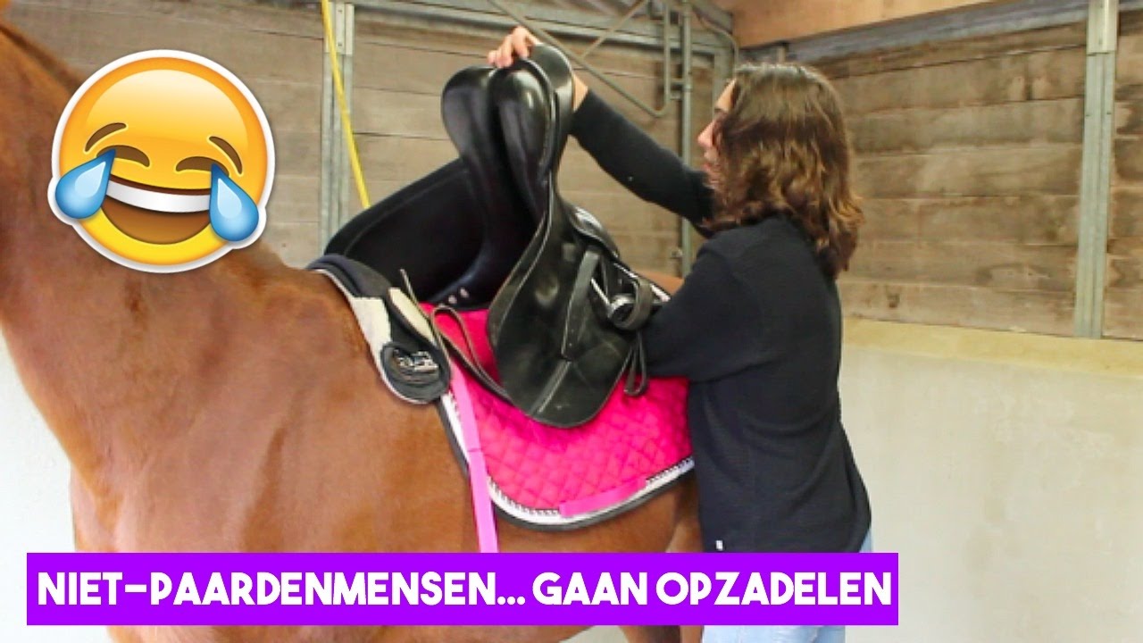 Niet-paardenmensen zadelen een paard op! | LeanneAbigail