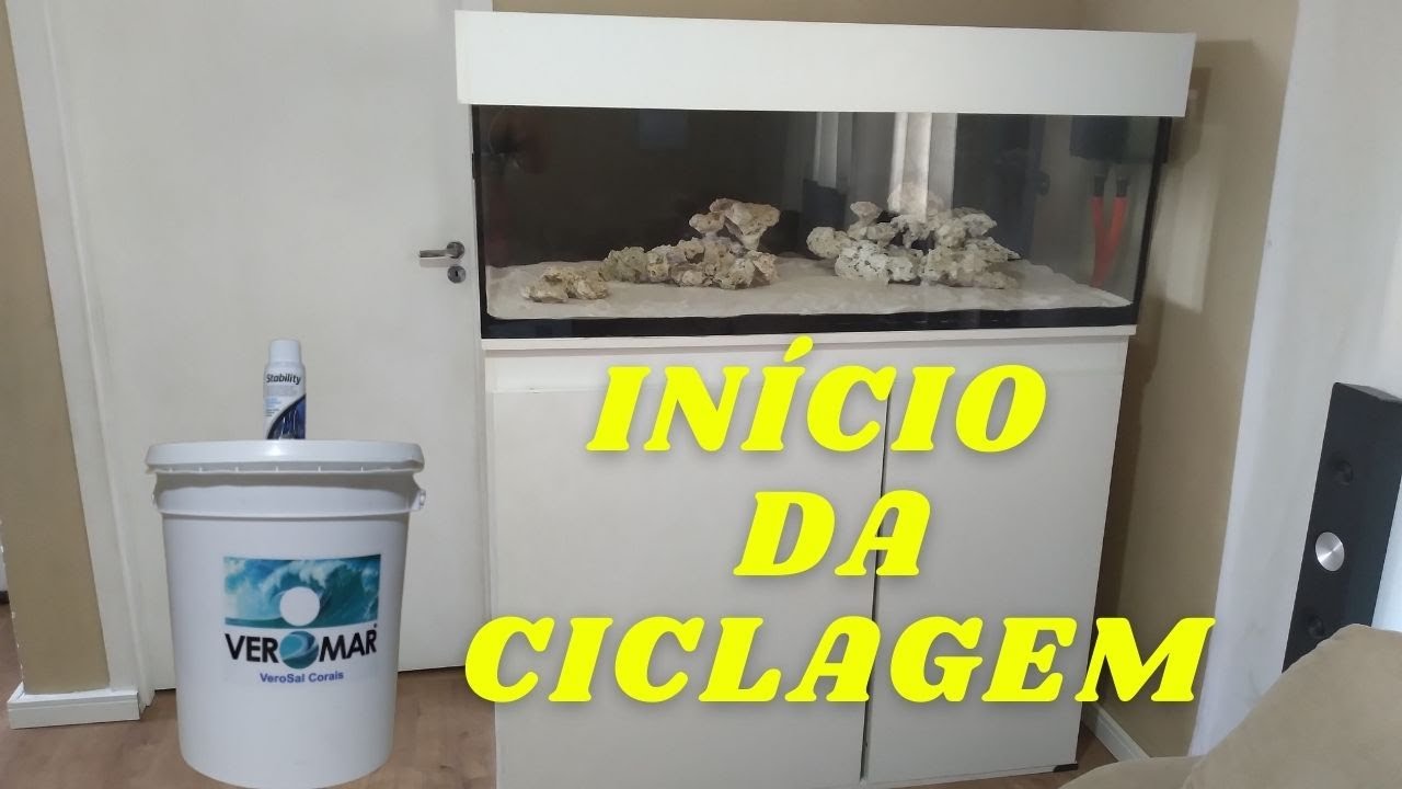 IN&Iacute;CIO DA CICLAGEM do AQU&Aacute;RIO MARINHO com ( SAL VEROMAR ) e ( STABILITY )