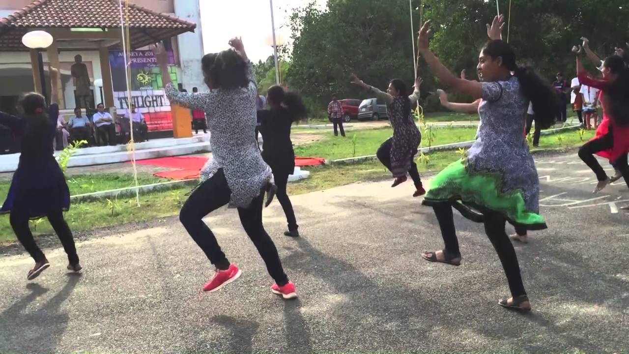 FLASH MOB AT SNIMS- TWILIGHT'16