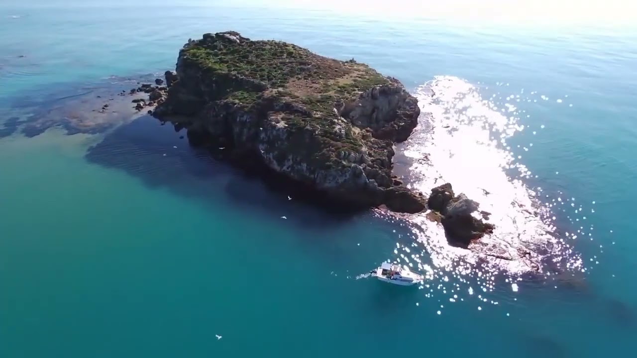 To Licata A Music Video