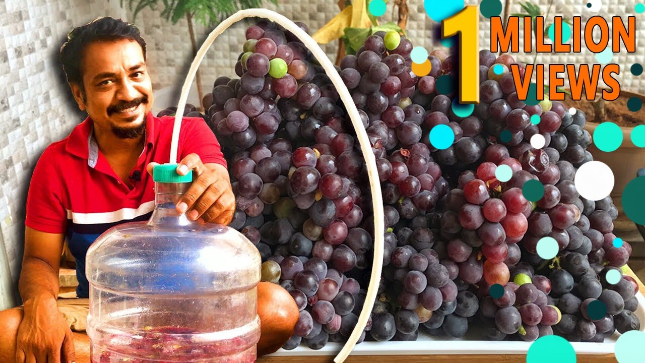 Homemade Red Wine | How to Make Red Wine | Making Red Wine At home by Selvakumar