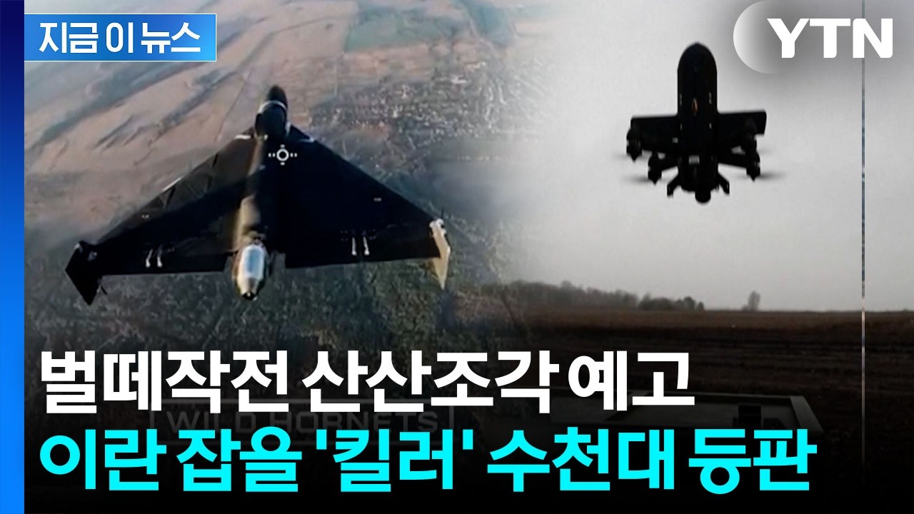 우크라가 넘긴 뜻밖의 기술...이란 '샤헤드' 초전박살 무기 [지금이뉴스] / YTN