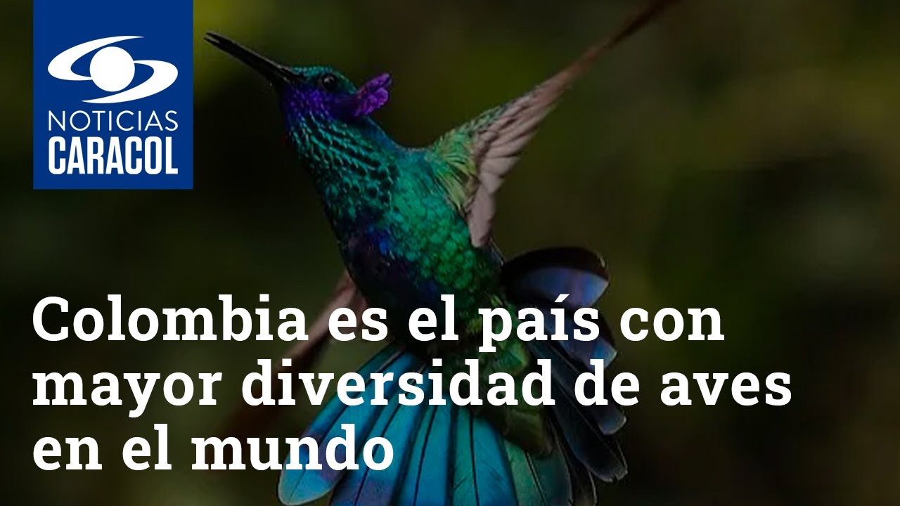 Colombia es el pa&iacute;s con mayor diversidad de aves en el mundo