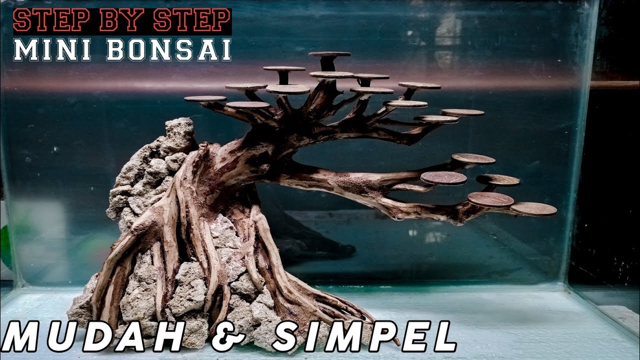 #008 Step By Step cara membuat bonsai aquascape | mini bonsai
