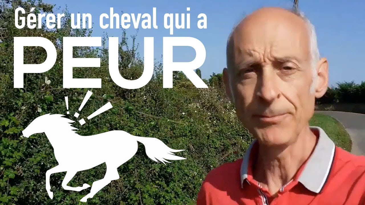 Comment gérer un cheval qui a peur ?