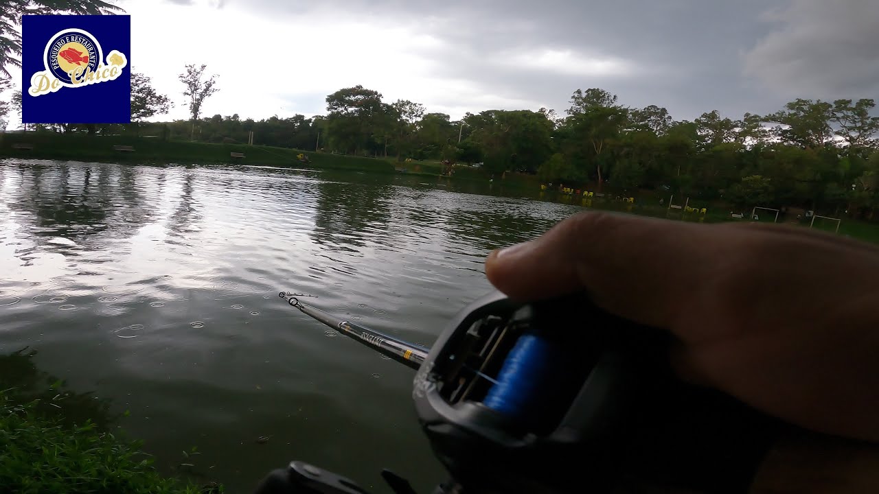 Pescaria de superfície no PESQUEIRO DO CHICO em Hortolândia-SP