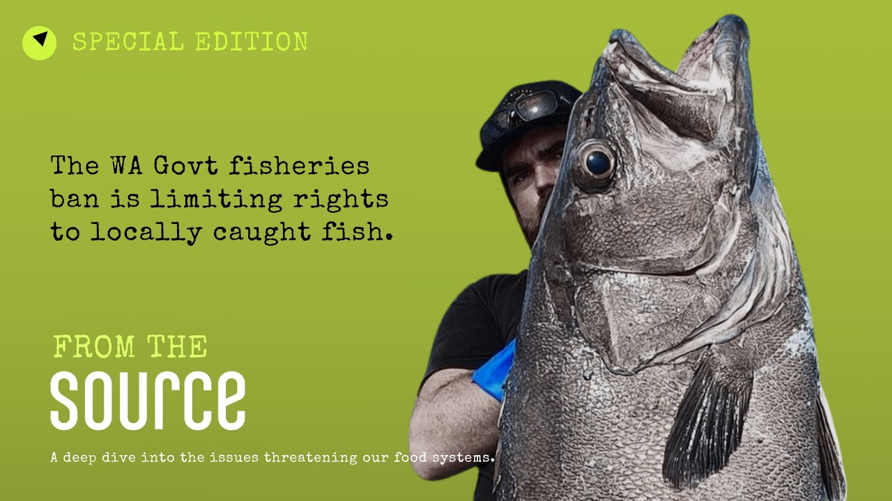 FROM THE SOURCE: Western Australia’s Fisheries Ban