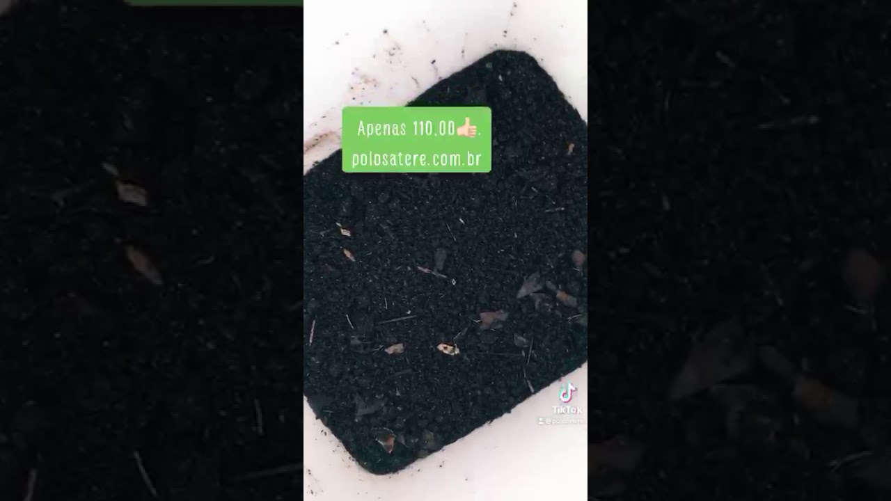 Composteira com material reciclado!!