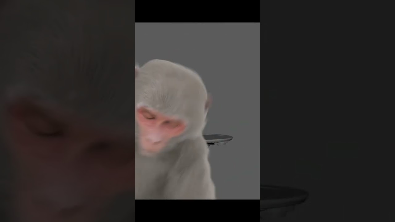 I made the 3D monkey animation for the virtual production #shorts