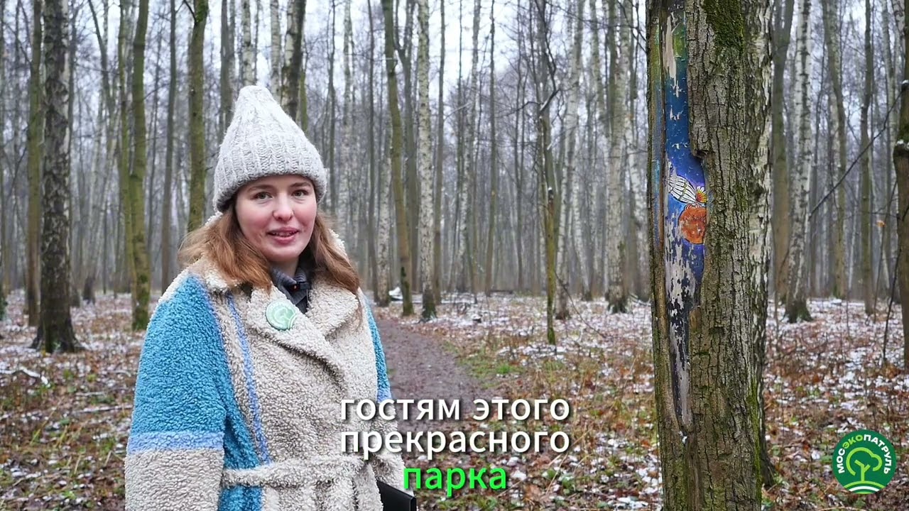 Измайлово 21.11.25 г.