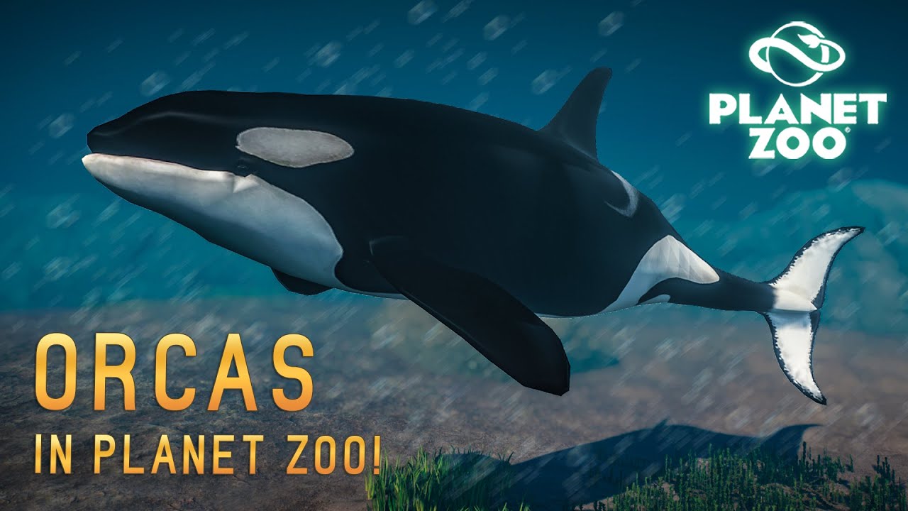 KILLERWALE, ZÜGELPINGUINE & SCHWARZFUßILTIS! 3 NEUE TIERE! - Planet Zoo Mods