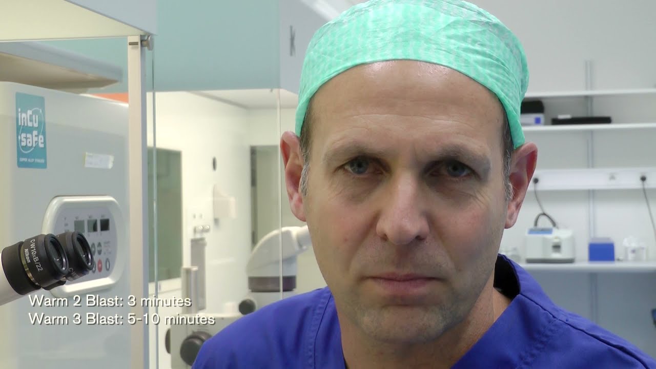 How to vitrify blastocysts
