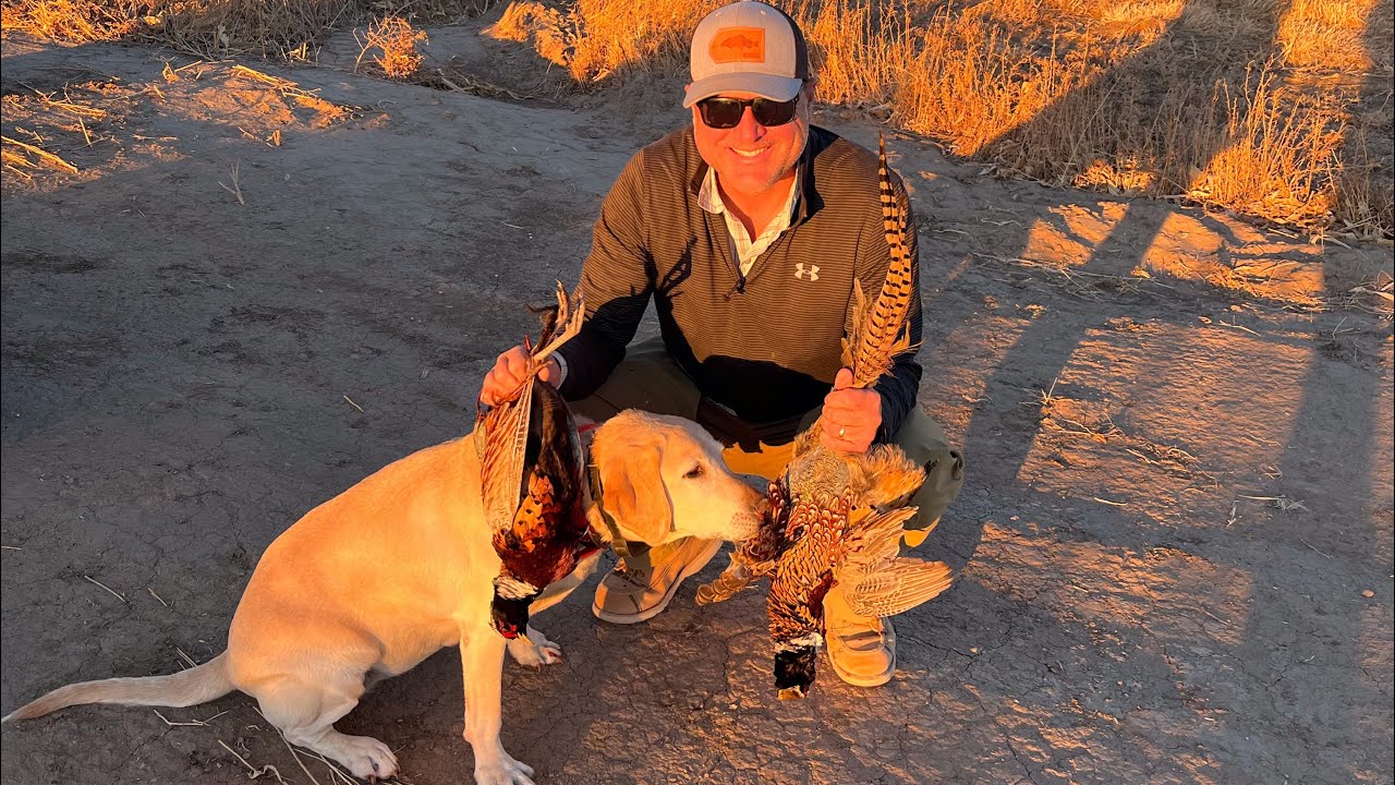 First Bird Hunting Trip of the 2021 Season